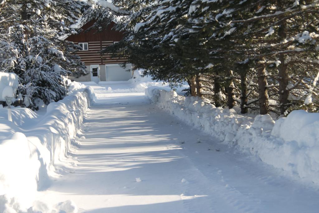 L'Auberge Refuge Du Trappeur Saint Mathieu Du Parc Exterior photo